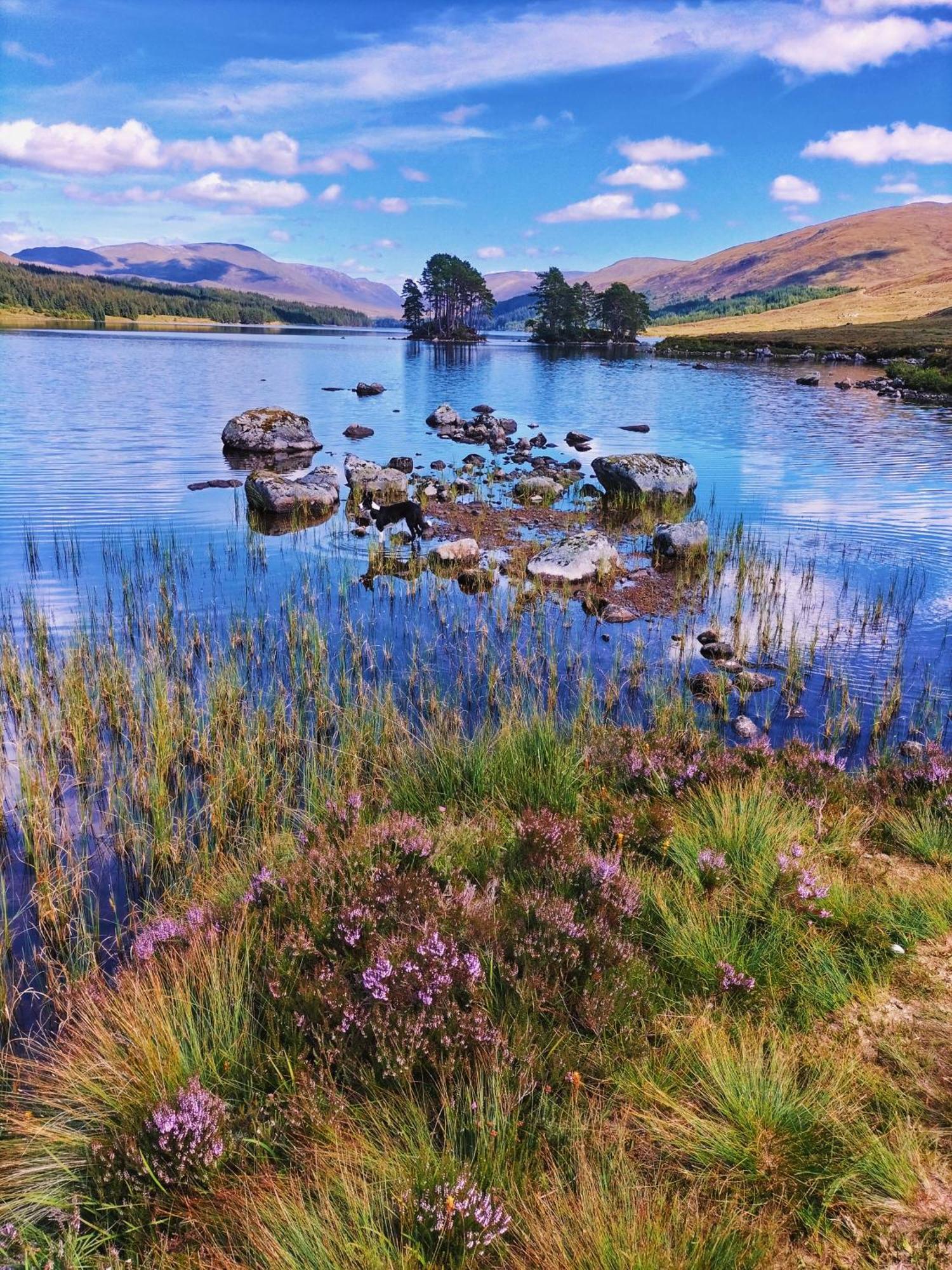 Glenfinnan Retreats Exteriör bild